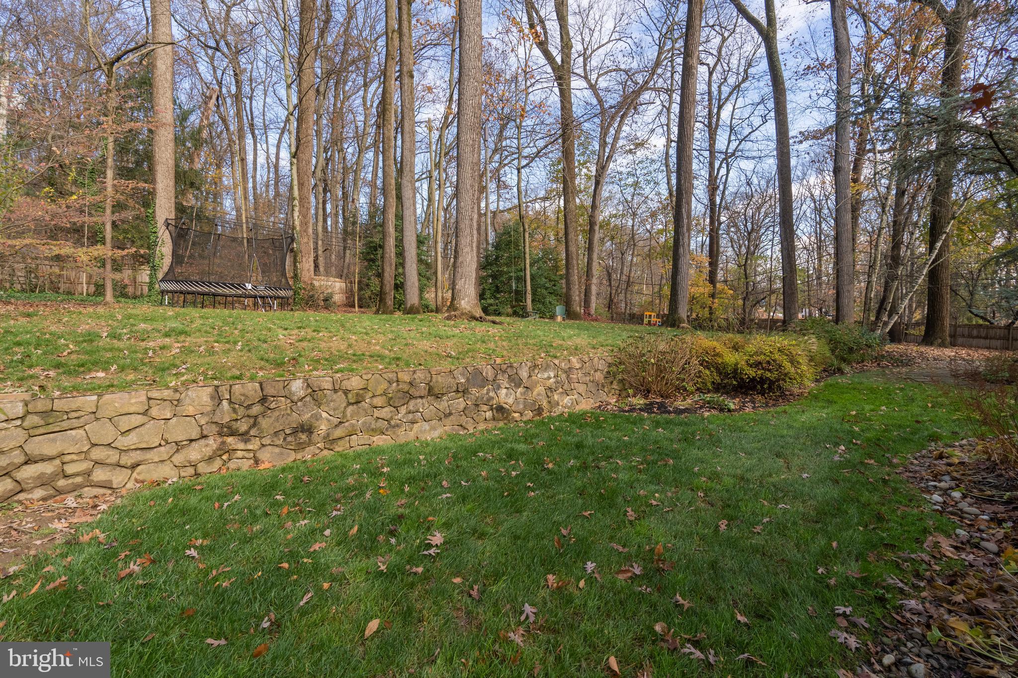 8 Paul Road Wayne, PA 19087 - Photo 62 of 64 Spacious Rear Yard