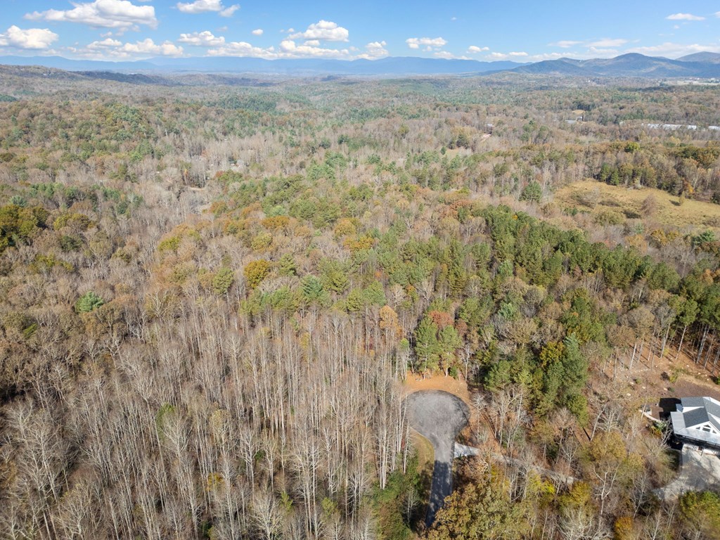 Lot 7 Highpoint Ridge Road Ellijay, GA 30536 - Photo 14 of 25 Gallery Image 14