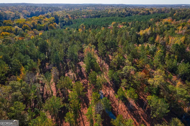 an aerial view of forest