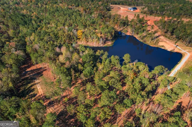 a backyard of a house with a yard and large trees