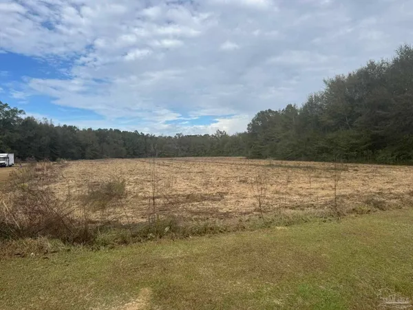 $40,000 | Lot 1 Freemanville Drive, Atmore, AL 36502
