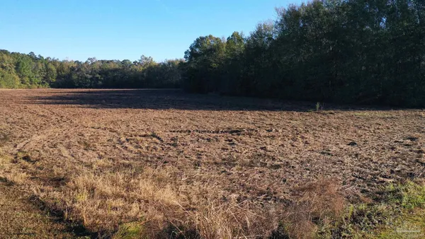 $40,000 | Lot 1 Freemanville Drive, Atmore, AL 36502