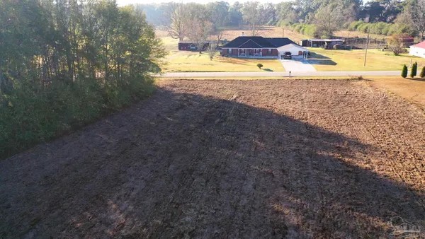 $40,000 | Lot 1 Freemanville Drive, Atmore, AL 36502