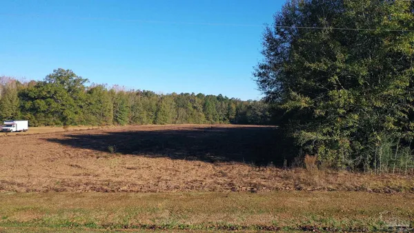 $40,000 | Lot 1 Freemanville Drive, Atmore, AL 36502
