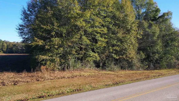$40,000 | Lot 1 Freemanville Drive, Atmore, AL 36502
