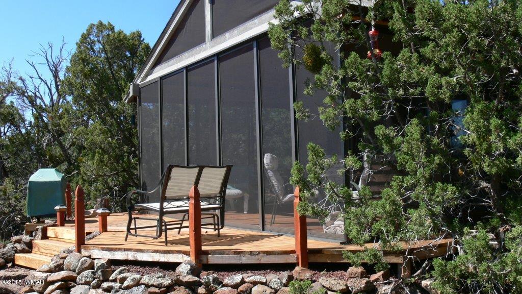333 County Road Concho, AZ 85924 - Photo 3 of 99 Gallery Image 3