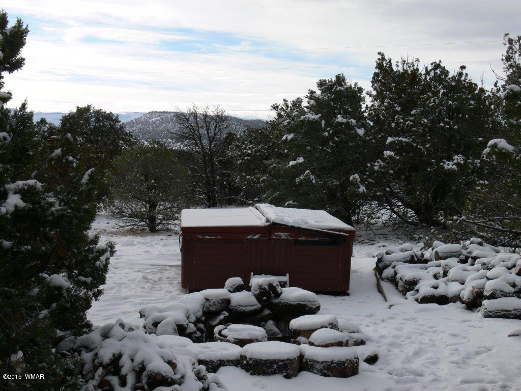 333 County Road Concho, AZ 85924 - Photo 41 of 99 Gallery Image 41