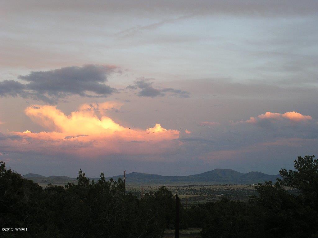 333 County Road Concho, AZ 85924 - Photo 46 of 99 Gallery Image 46