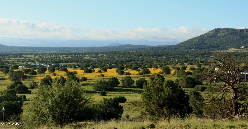 333 County Road Concho, AZ 85924 - Photo 90 of 99 Gallery Image 90