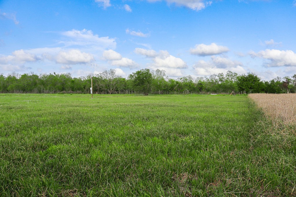1115 Farm To Market 1462 Rosharon, TX 77583 - Photo 16 of 20