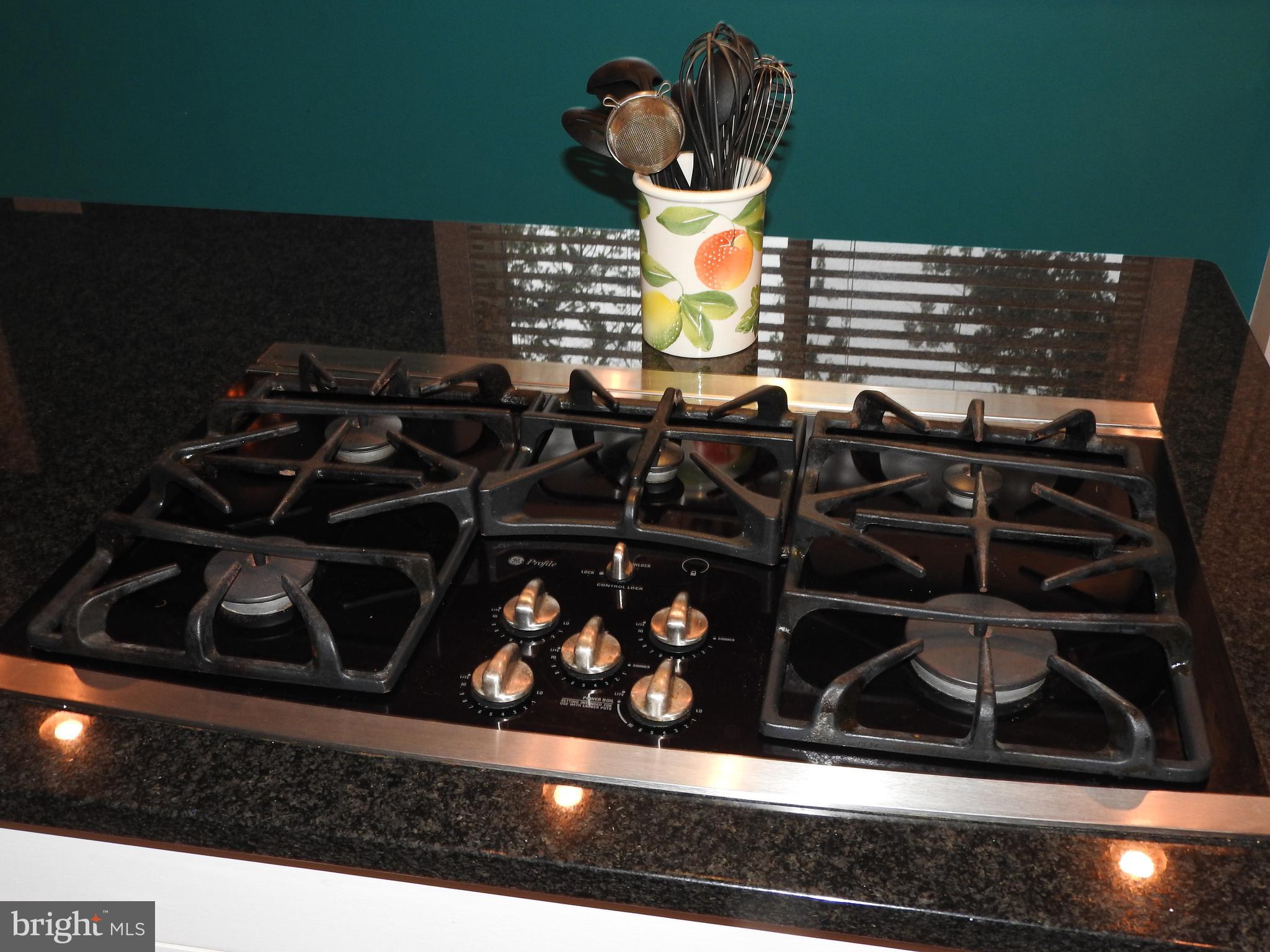 101 Sandy Hill Road Cambridge, MD 21613 - Photo 17 of 53 Gallery Image 17