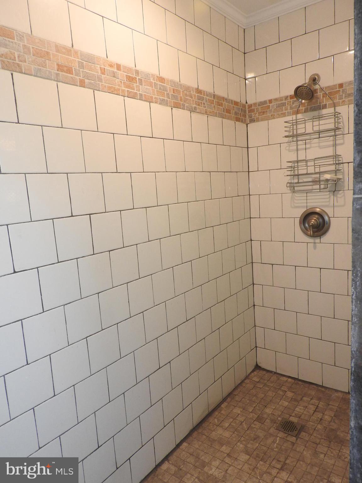 101 Sandy Hill Road Cambridge, MD 21613 - Photo 31 of 53 Master Bath with walk-in shower
