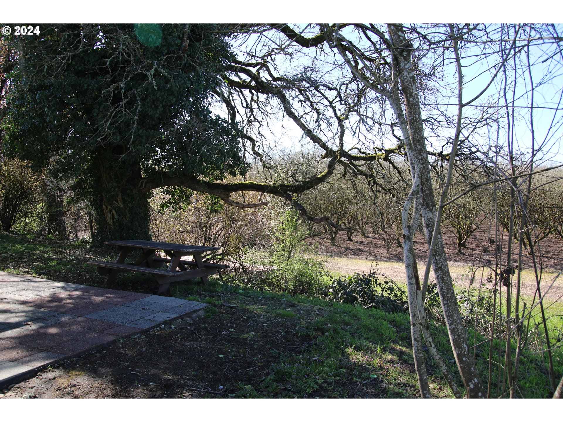 452 Olson Drive Jefferson, OR 97352 - Photo 14 of 17 a view of outdoor space and yard