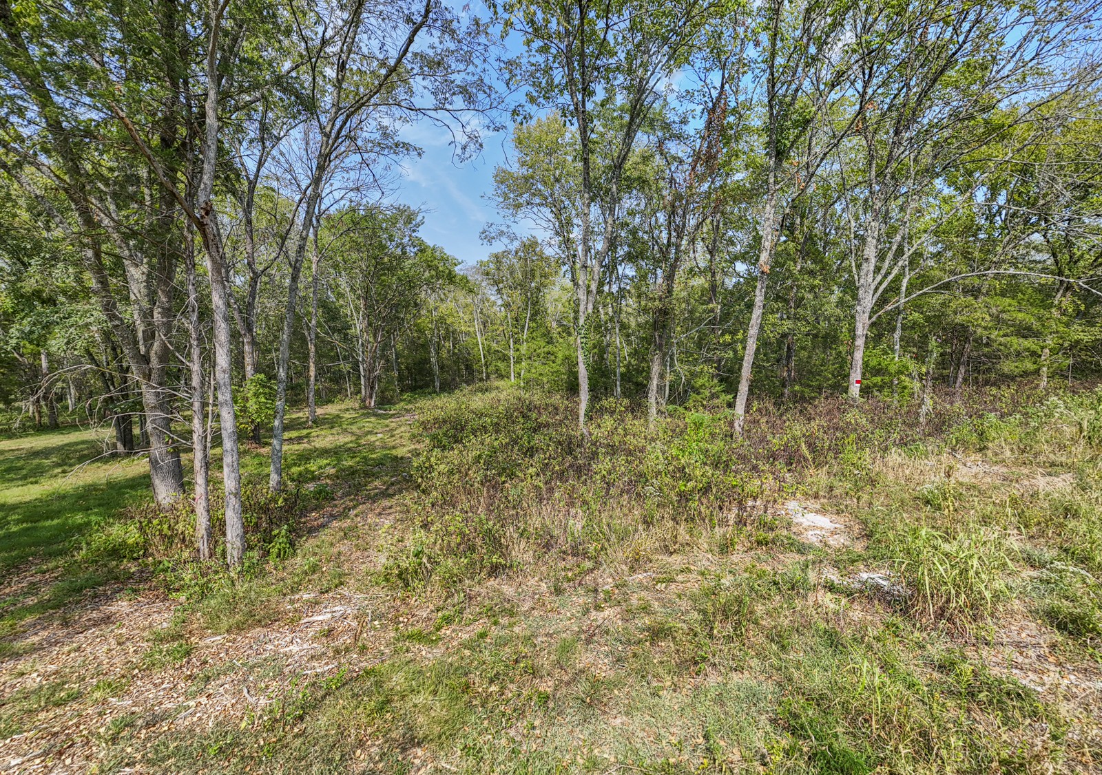8546 Taliaferro Road Eagleville, TN 37060 - Photo 2 of 13 Gallery Image 2