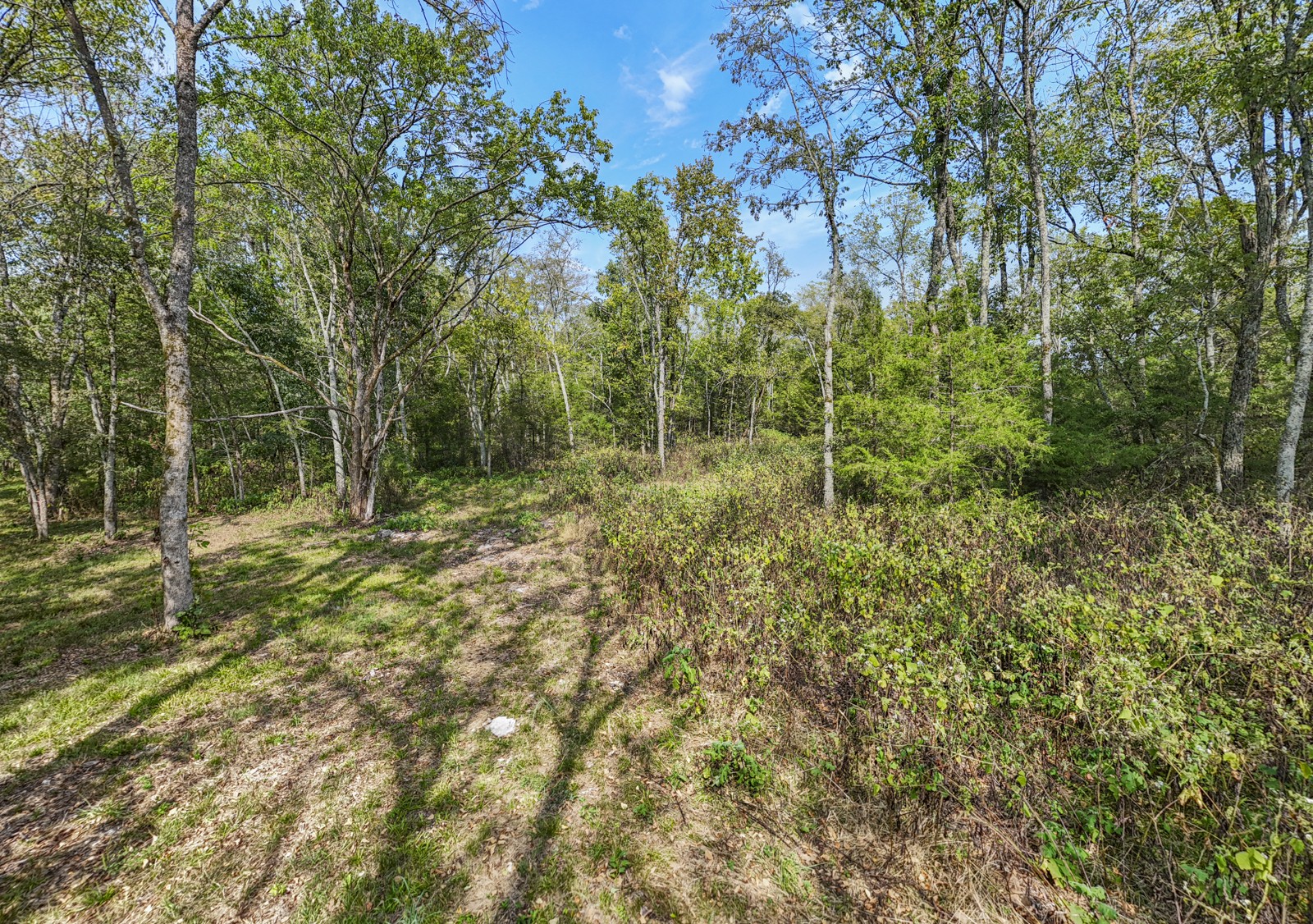 8546 Taliaferro Road Eagleville, TN 37060 - Photo 3 of 13 Gallery Image 3