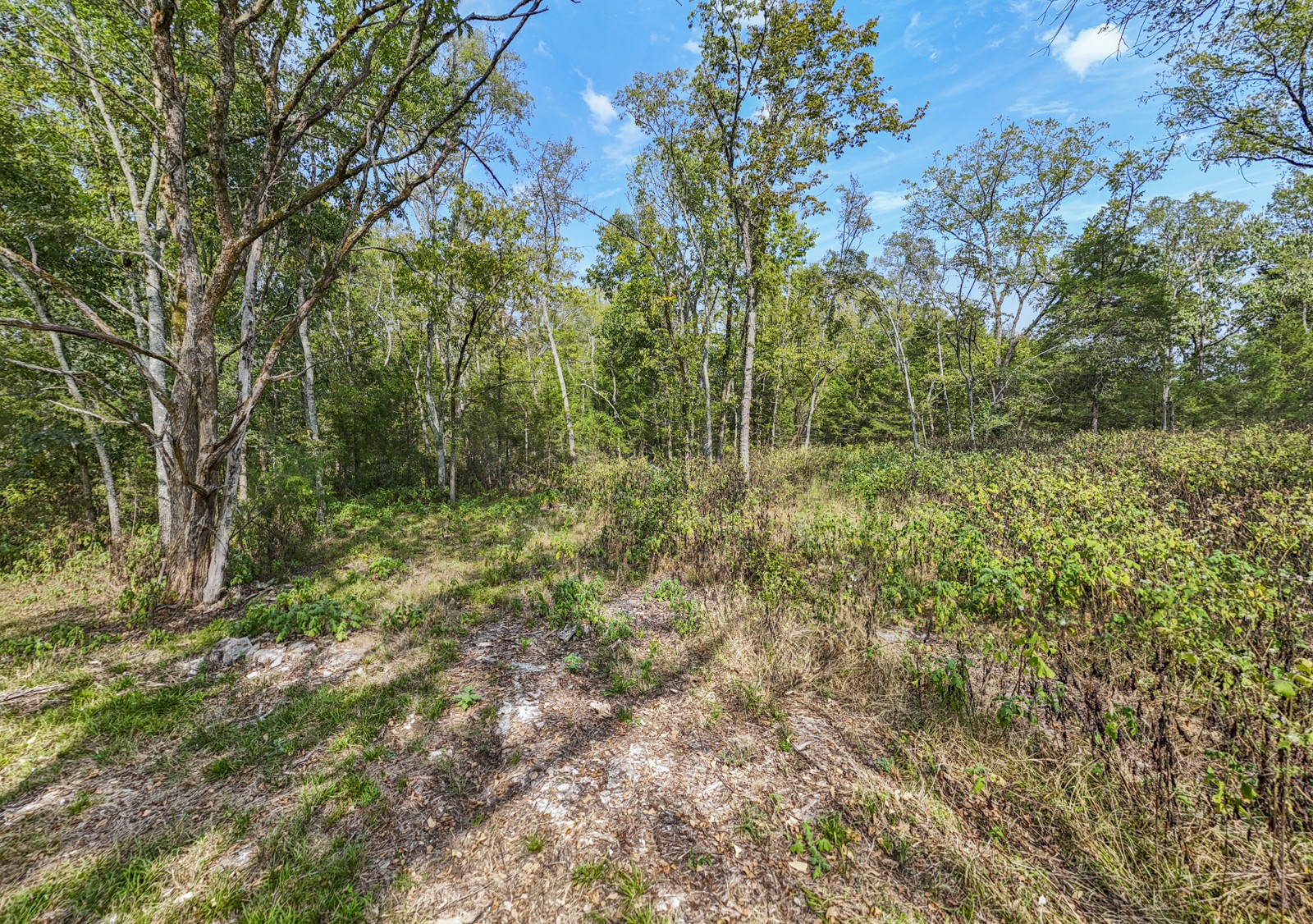 8546 Taliaferro Road Eagleville, TN 37060 - Photo 4 of 13 Gallery Image 4
