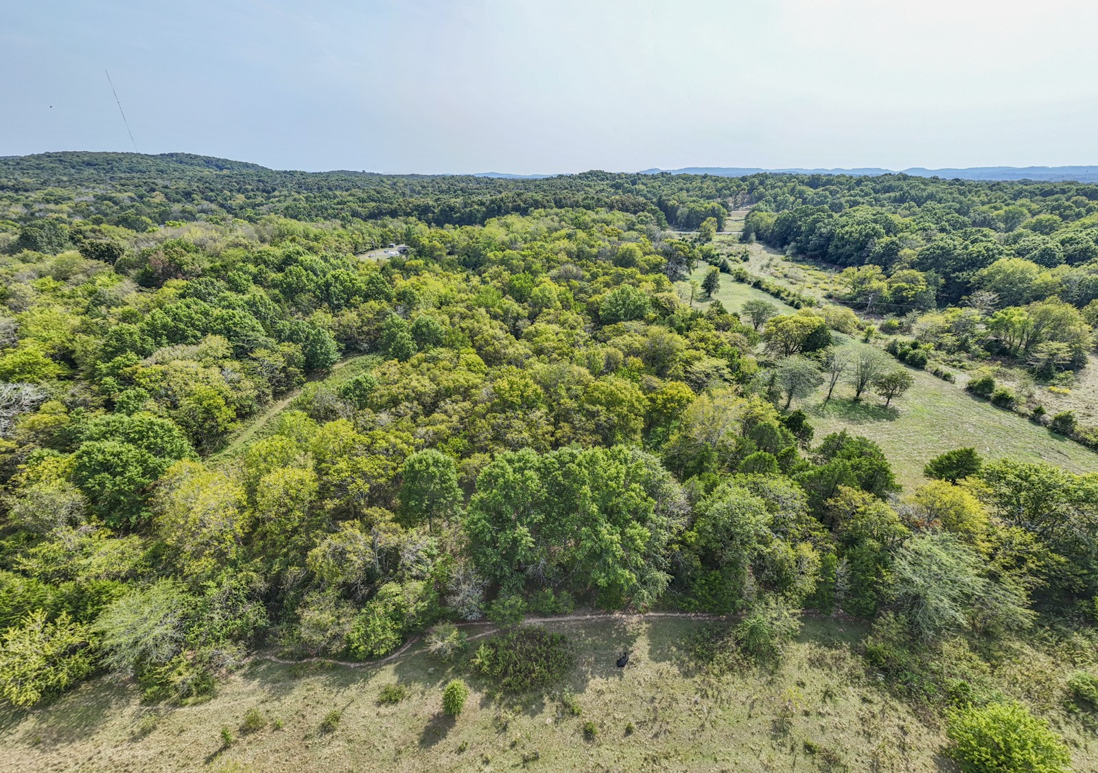 8546 Taliaferro Road Eagleville, TN 37060 - Photo 6 of 13 Gallery Image 6