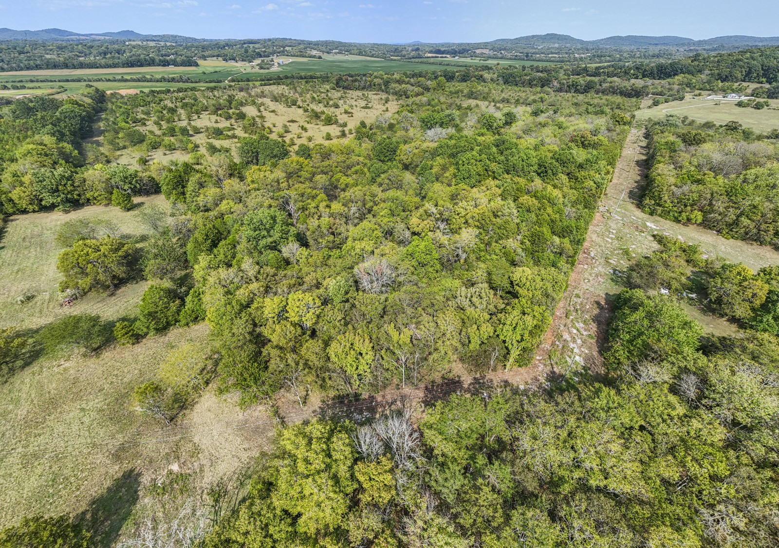 8546 Taliaferro Road Eagleville, TN 37060 - Photo 9 of 13 Gallery Image 9