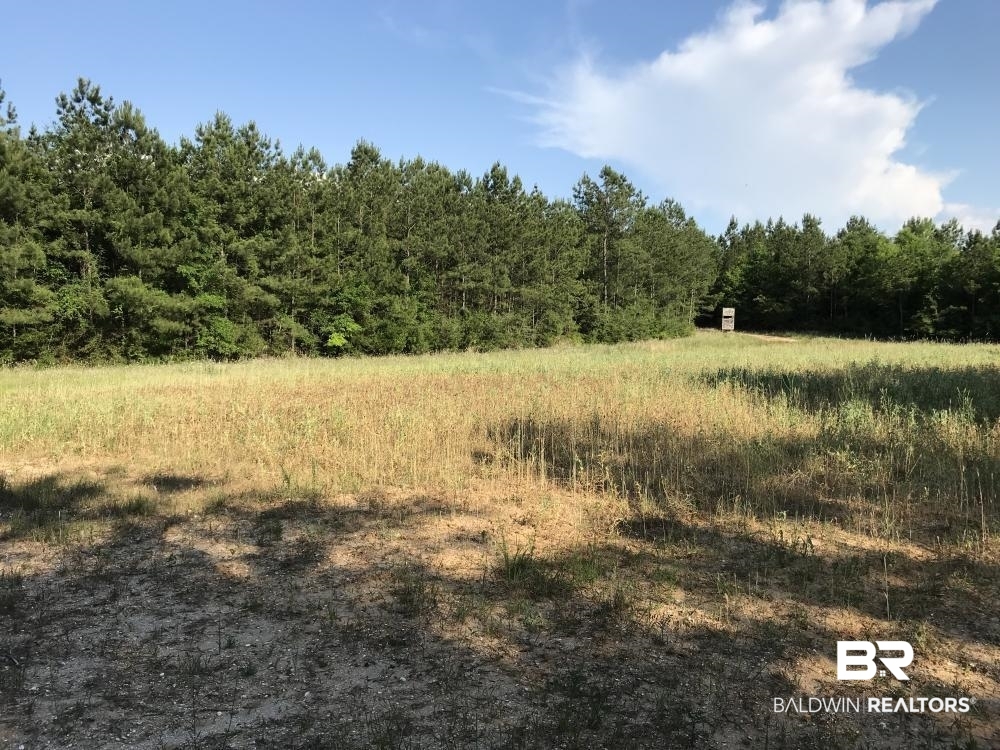 12835 Celeste Road Chunchula, AL 36521 - Photo 9 of 10