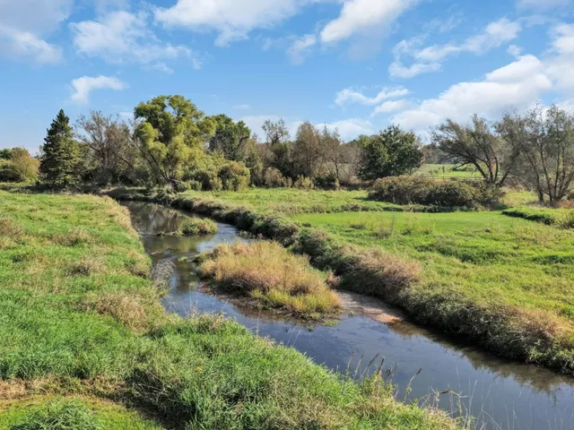 a view of a park with large trees