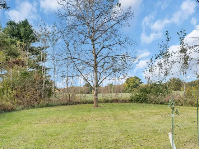 a view of a yard with a house