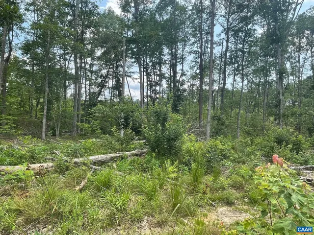 a big yard with lots of green space and deers