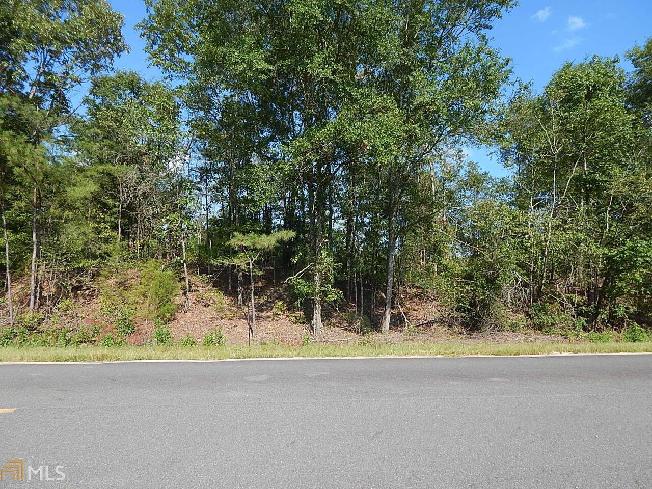 0 Doc Crook Road, Unit LOT 2 Reynolds, GA 31076 - Photo 1 of 1