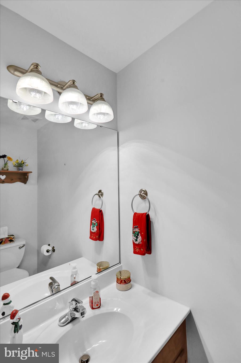 110 South Cacoosing Drive Reading, PA 19608 - Photo 10 of 32 a bathroom with a sink and a mirror