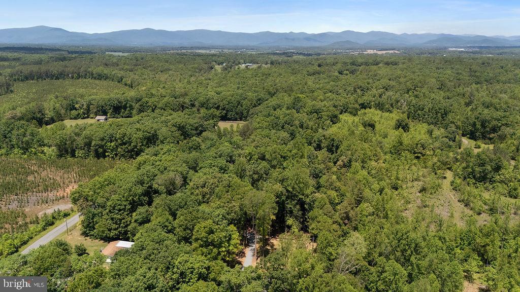 12121 Albano Road Barboursville, VA 22923 - Photo 45 of 67