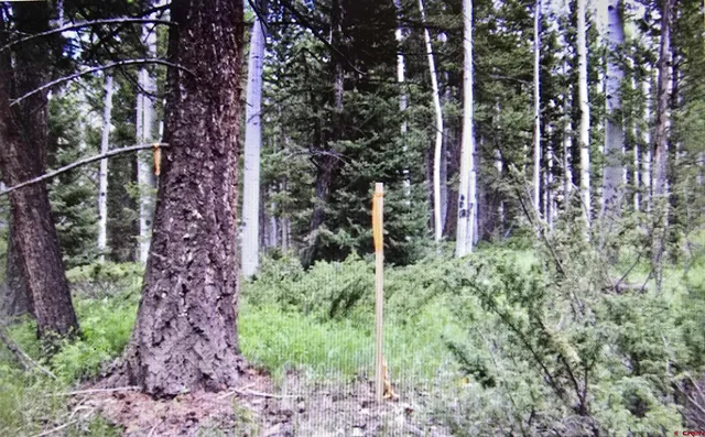 a view of a pathway of a building