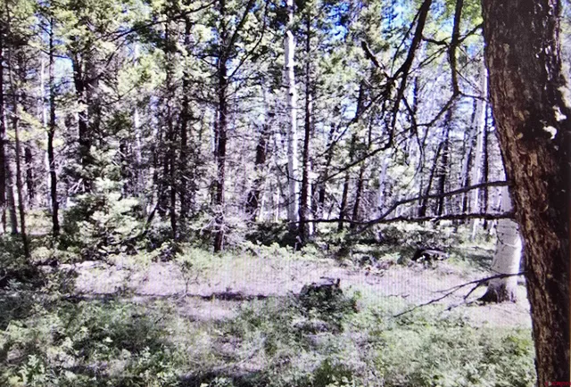 a view of a yard covered in snow