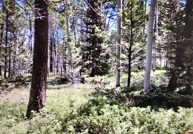 a close up of a white wall with a white comforter