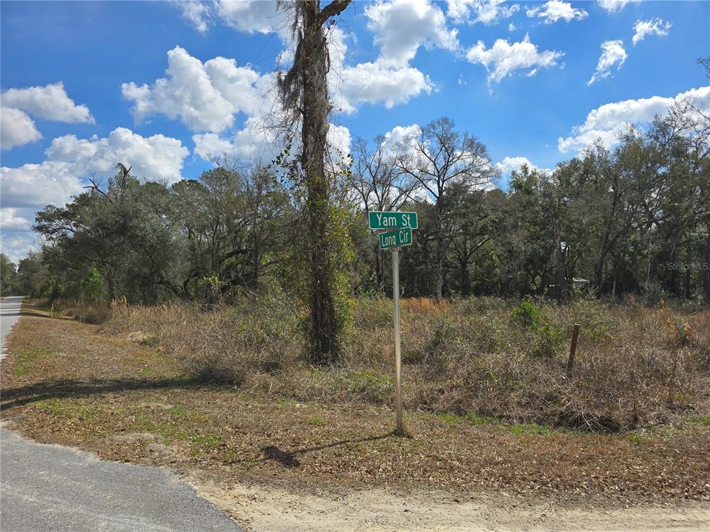 6436 Y Street Webster, FL 33597 - Photo 3 of 14