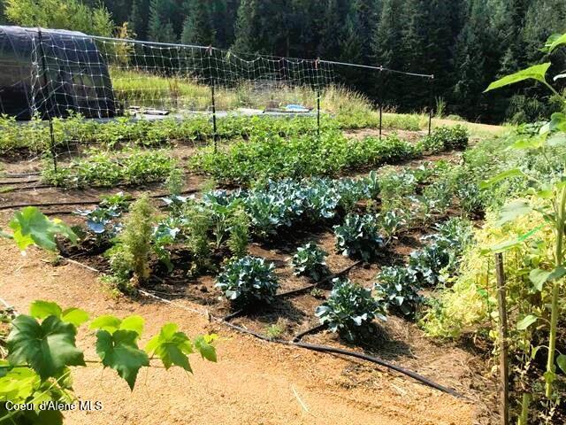 266 Falcon Ridge Road Kooskia, ID 83539 - Photo 46 of 50 46