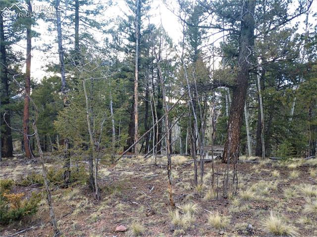 525 Cochetopa Road Florissant, CO 80816 - Photo 8 of 8 Gallery Image 8