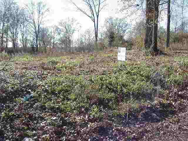 Lot 1 Fairmont Road Anderson, SC 29621 - Photo 1 of 1