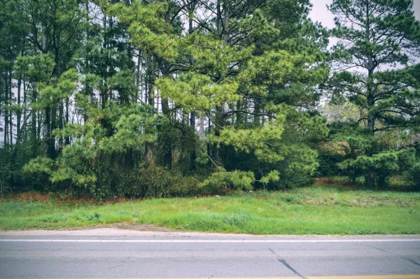 a view of a yard and a trees