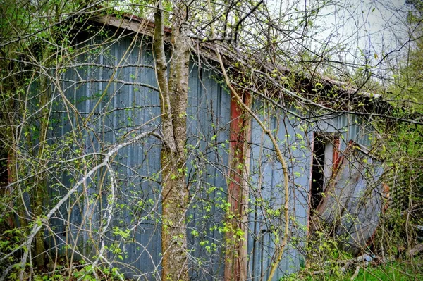 a backyard of a house with lots of plants and trees
