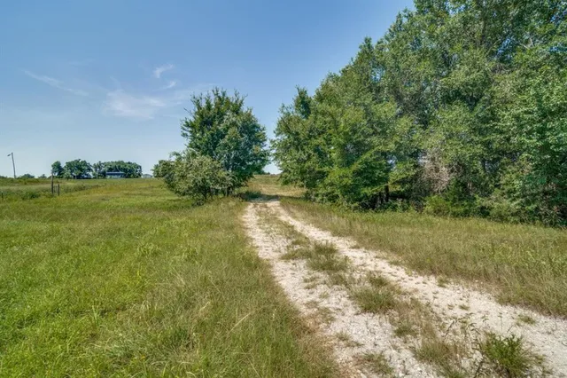 a view of a yard with a tree