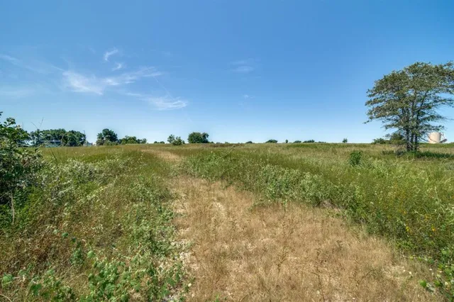 a view of a lush green space with sea