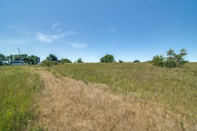 a view of a lake in middle of forest