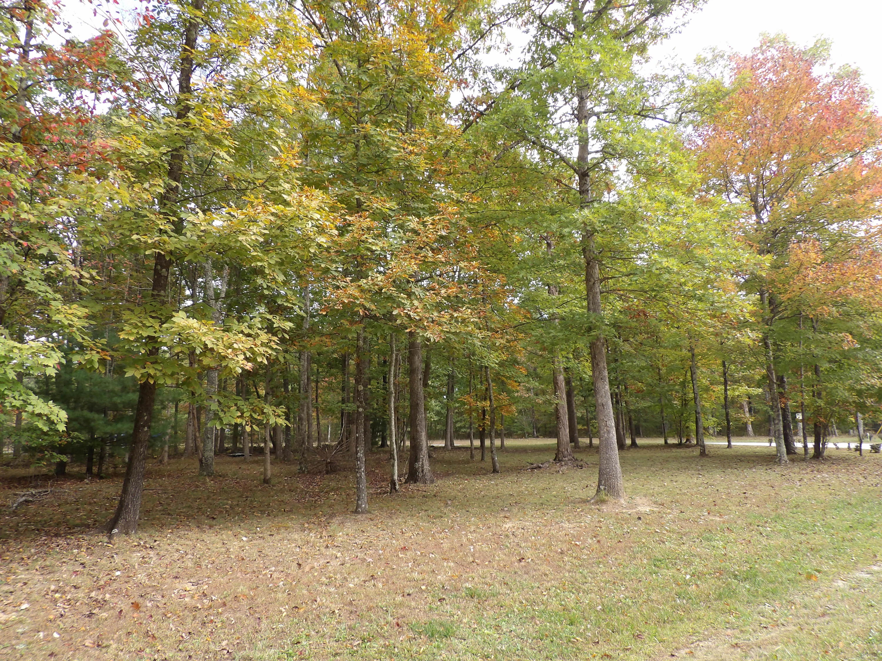 10 Fernhill Road, Unit 51 Pikeville, TN 37367 - Photo 1 of 22 100_1504
