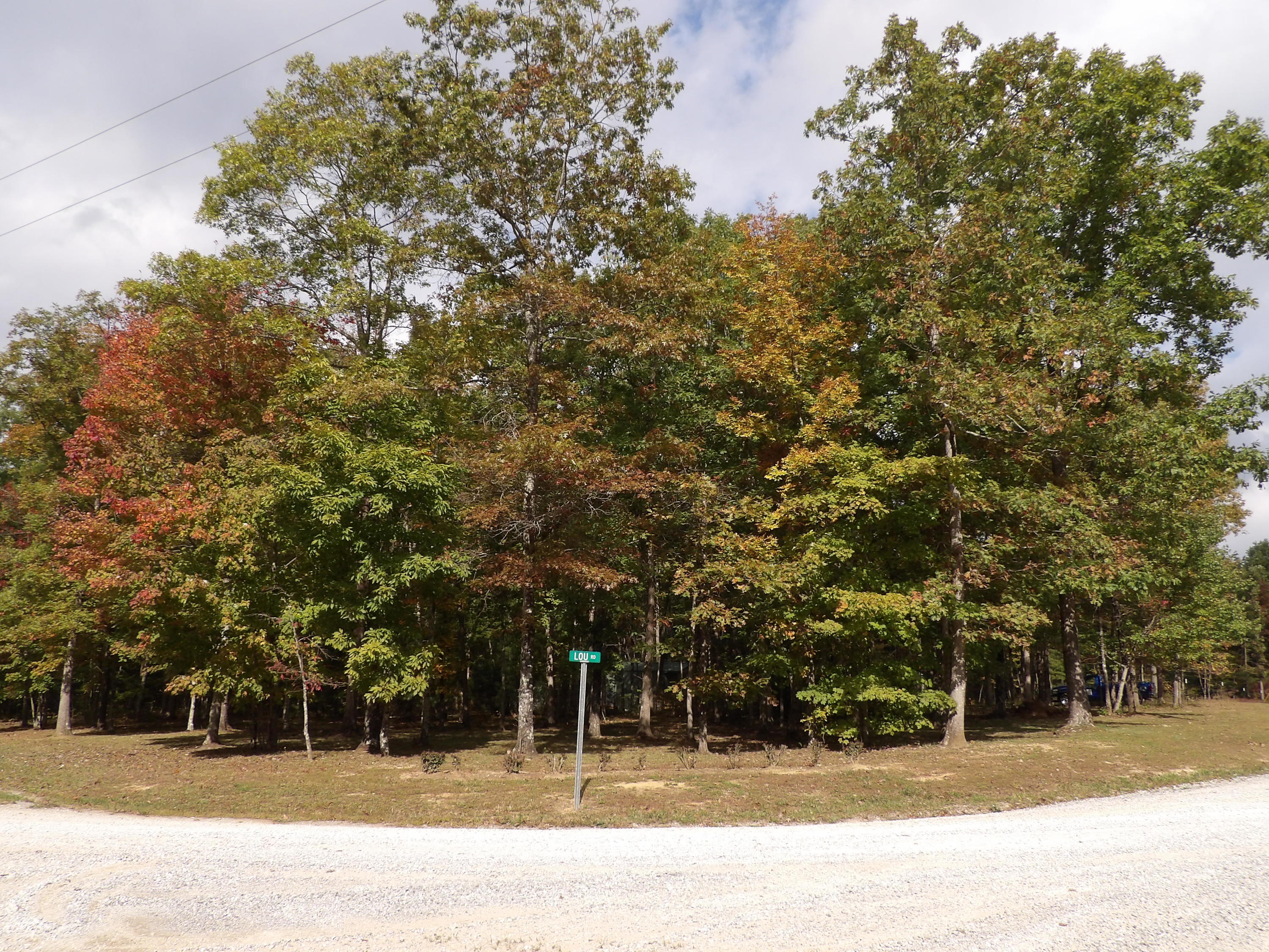 10 Fernhill Road, Unit 51 Pikeville, TN 37367 - Photo 21 of 22 100_1501