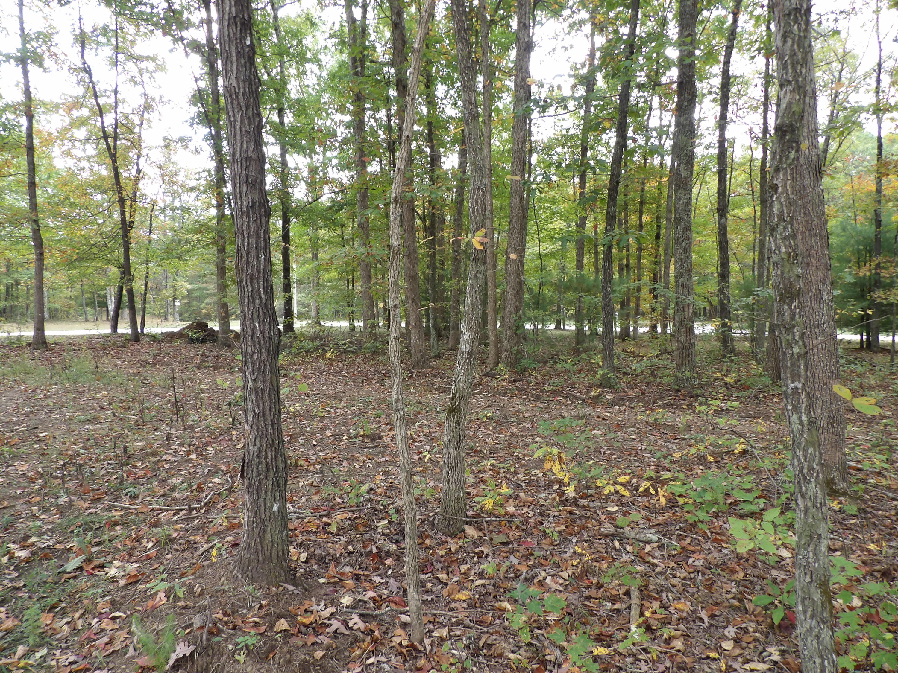 10 Fernhill Road, Unit 51 Pikeville, TN 37367 - Photo 7 of 22 100_1497