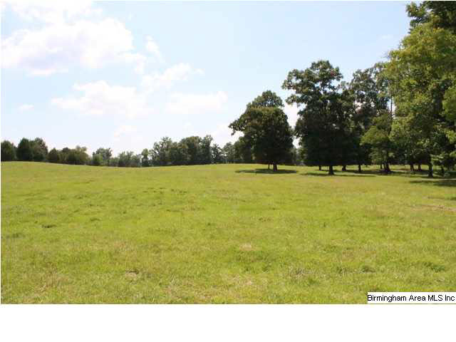 Mudd Street Lincoln, AL 35096 - Photo 14 of 32