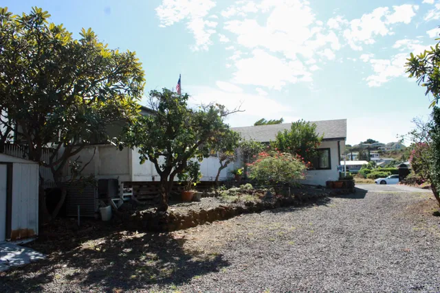a street view with tall trees