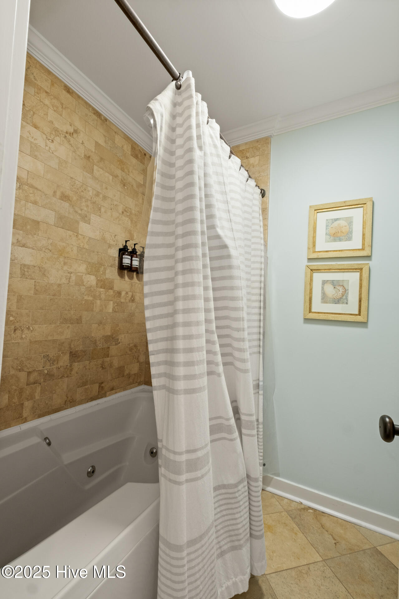 8 Racerunner Court Bald Head Island, NC 28461 - Photo 24 of 45 Jetted Tub Shower - Main Bedroom