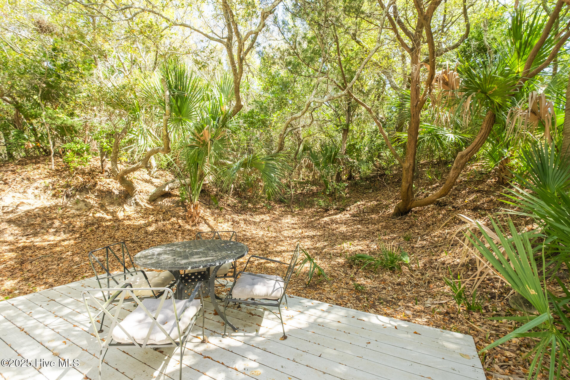 8 Racerunner Court Bald Head Island, NC 28461 - Photo 36 of 45 Large Back very Private Patio for Entertaining