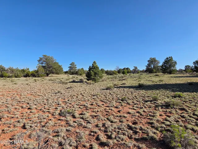 a view of a lake with a mountain in the background