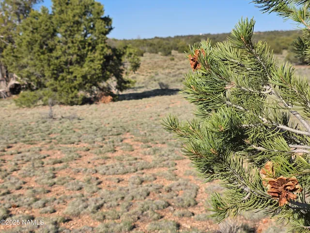 a view of lake view and mountain view